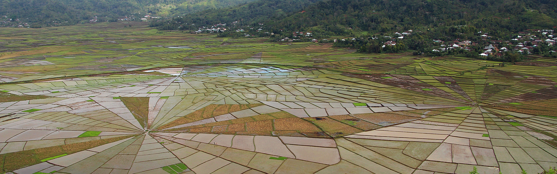 Linkgo spider rice fields near Cancar Village, Manggarai region, central Flores